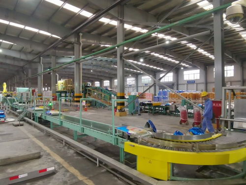 一線調研 四川美豐產品線滿負荷運轉，加速構建六大產業協同發展新格局